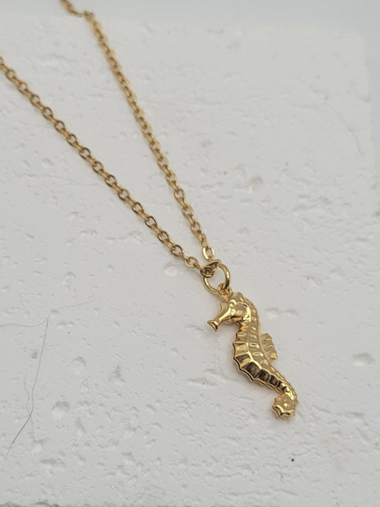 Collar caballito mar